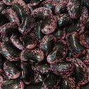 高原花豆 (2kg) 令和6年 群馬県嬬恋村産【送料無料】
