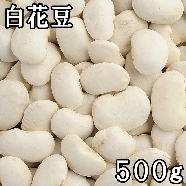 白花豆 (白いんげん) (500g) 令和5年 北海道産 【メール便対応/1kgまで】