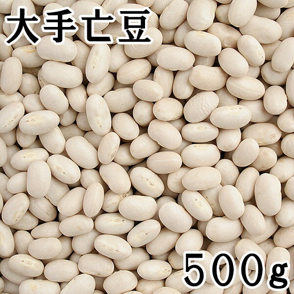 大手亡 (白いんげん) (500g) 令和4年 北海道産 【メール便対応/1kgまで】