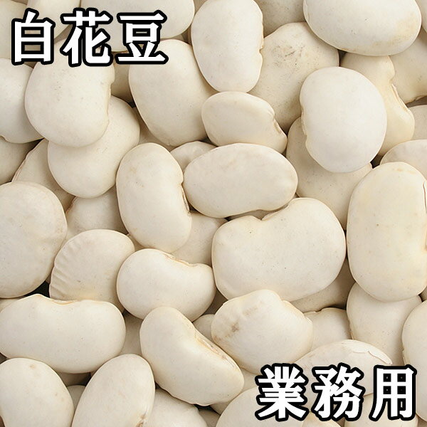 白花豆 (白いんげん) (30kg業務用) 令和3年 北海道産 【送料無料】