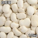 白花豆 (白いんげん) (10kg) 令和6年 北海道産 【送料無料】