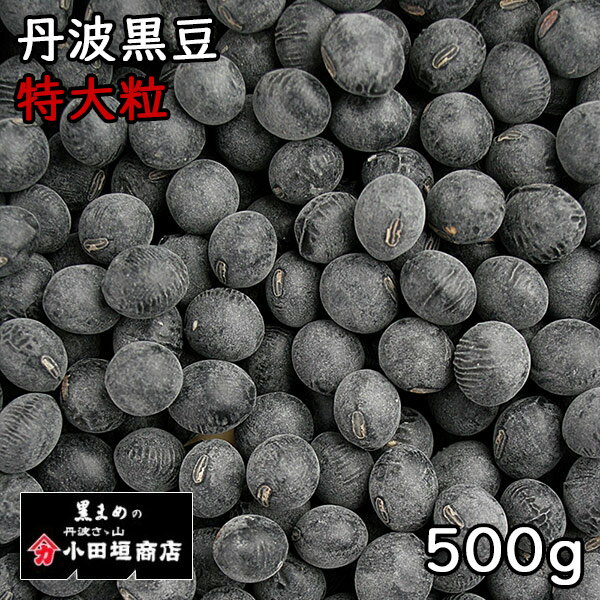 c_X Og 嗱 (500g) ߘa4N ɌY y[֑Ή/1kg܂Łz