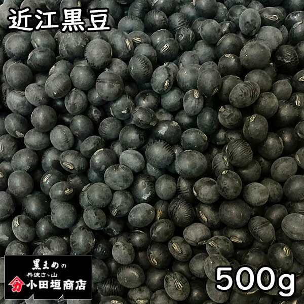 小田垣商店 近江黒豆 500g 令和5年 滋賀県産 【メール便対応/1kgまで】