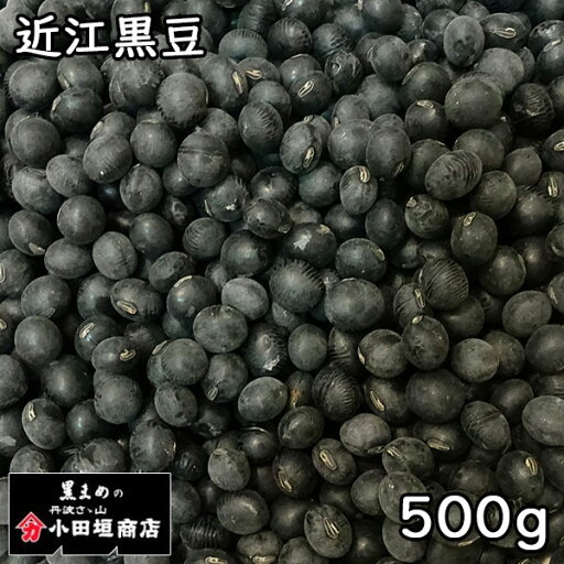 小田垣商店 近江黒豆 (500g) 令和6年 滋賀県産 【メール便対応/1kgまで】 小田垣商店 近江黒豆 (500g) 令和6年 滋賀県産 【メール便対応/1kgまで】