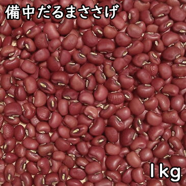 備中だるまささげ (1kg)令和2年 岡山県産 【メール便対応】