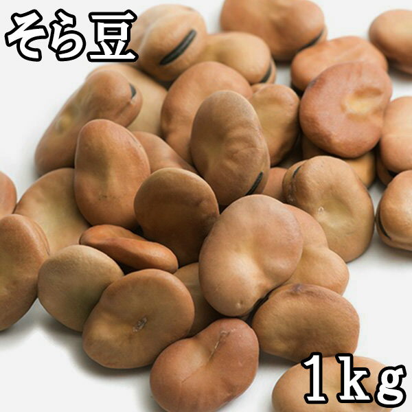 そら豆 (1kg) ペルー産 【メール便対