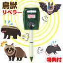 【10/15限定2人に1人最大100%P】ソーラー充電式 害獣撃退センサー リペラー 害獣 忌避 鳥獣 撃退 駆除 退治 対策 作物被害 フン 騒音対策 超音波...