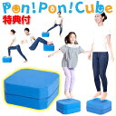 【12/15限定2人に1人最大100%P】家庭用トランポリン クッション ポンポンキューブ 専用ガイド付 Pon!Pon!CUBE トランポリン クッション ス...