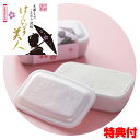 太田さんのこだわり洗剤 はんなり美人 洗剤 セッケン 台所用洗剤 食器 野菜 固形 手に優しい 無香料 無着色 安全 果物 タイル キッチン用洗剤 掃除 水仕事...