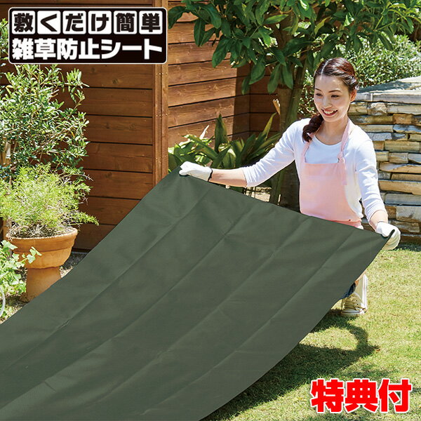 敷くだけ簡単雑草防止シート 固定ピン付 雑草駆除 雑草防止シート 雑草除去 雑草シート 透水シート ガーデニング 園芸 畑 家庭菜園 趣味 お墓 草むしり シート カバー 遮光性 雑草シート 園芸資材 芝生 花壇 土 草 便利屋 母の日 プレゼントのサムネイル