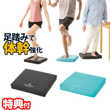 《2000円クーポン配布中》 体幹エクサマット ステッパ— 歩行訓練 足踏み ジャンプ運動 足踏み運動 有酸素運動 運動器具 ダイエット器具 運動 体幹マット 運動不足解消 自宅 健康維持 運動不足解消法 健康 筋肉 ウォーキング ブラック ミントグリーン 足首強化 エクササイズ