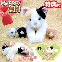 【5/5限定2人に1人最大100%P】子育てネコのみーちゃん ミーチャン 猫 ぬいぐるみ 親猫 子猫 ままごと ごっこ遊び 赤ちゃん おもちゃ 玩具 動物 ペッ...