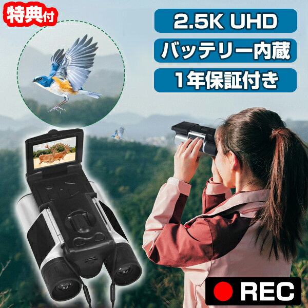 2000ߥݥաַդ Ͽ褬ǤдDX DX-R01 ǥд ӥǥ ˾ Ψ10 2.5k...