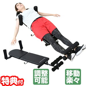 展示品特価 ALINCO ストレッチャー FA1000A 牽引器 腰 背中 背筋 ストレッチ 伸ばし機 ストレッチマシン ストレッチャー 伸ばし器 腹筋運動 家庭用 ストレッチボード ストレッチ機具 ストレッチャー 牽引器具 牽引機 けん引器 アルインコ 全身ストレッチ 伸ばし器具 健康器具