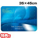 【7/10限定2人に1人最大100%P】サラリト 除菌マット RS-L1245 玄関マット 35x45cm 除菌マット 出入口 除菌シート 靴除菌 足裏除菌 玄...
