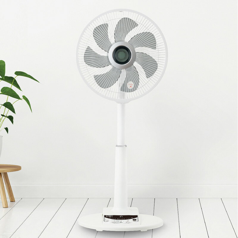 話題の品【選ぶ景品】 Brissa DCリビングファン 節電 扇風機 電気代最大50％オフ BFDF001WH DCモーター 大風量 静音 扇風器 サーキュレーター 洗濯乾燥機 衣類乾燥機 小型 空気循環器 扇風器 DCモーター リビングファン フルリモコン 首振り DC扇風機 DCリビング扇風機