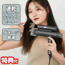 【7/15限定2人に1人最大100%P】Blaster Pro ドライヤー ブラスタープロ 専用ポーチ付き デュアルモータードライヤー ブラシレスDCモーター ...