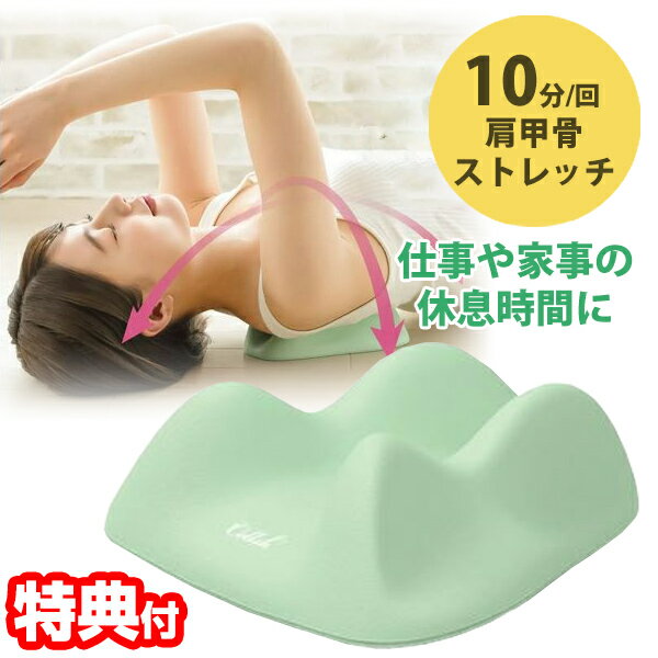 Cellsh セルシュ 肩甲骨ストレッチクッション 肩甲骨 クッション ストレッチ 1回10分 気持ちいい 寝ころぶだけ リフレッシュ 指圧 簡単ストレッチ ストレッチクッション テレワーク 仕事 家事 休息時間 セルフケア セルシュ 肩甲骨クッション
