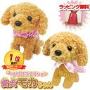 愛犬モカちゃん おめかしモカちゃん トイプードル 犬 おもちゃ《包装無料》 ロボット 可愛い犬の 動くぬいぐるみ ロボット おしゃべりぬいぐるみ 動くおもちゃ ...
