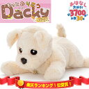 すぐ使える 電池4本付 もっとおりこうダッキー バニラ もっとおはなし タカラトミー おしゃべり人形 音声認識人形 癒し玩具 ヒーリングパートナー おしゃべり ...