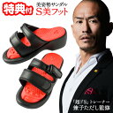 TVで紹介【選ぶ景品】 S美フット サンダル 兼子ただし監修 美姿勢サンダル S美foot フリーサイズ 送料無料 ドSトレーナー ストレッチ 美姿勢 スリッパ サンダル 美脚サンダル フットサンダル 健康サンダル エス美 エスビ 美脚スリッパ