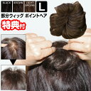 ポイントヘア Lサイズ 部分ウィッグ 分け目 薄毛 白髪隠し ヘアウィッグ 部分かつら ポイントウィッグ ヘアピース ヘアーピース メンズ レディース カツラ ...