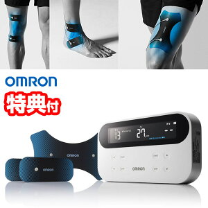 2000ߥݥաַդ  ȼŴ HV-F081 HV-F080꡼ OMRON ŵŴ ޥå ŵŵ ȼ Ҥ ɨ   ­   HVF081 ѥ륹ޥå㡼 ŵ ѼŴ   ŵޥå