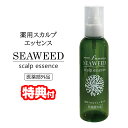 【5/5限定2人に1人最大100%P】【選ぶ景品付】ルミナ シーウィード 薬用スカルプエッセンス 150ml 医薬部外品 日本製 スカルプケア 頭皮ローション ...