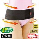【7/10限定2人に1人最大100%P】【選ぶ景品】 2枚組 日本製 超薄型がっちり骨盤テーピングベルト メッシュタイプ 薄型 腰サポーター 腰楽 骨盤ベルト ...