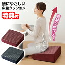 【選ぶ景品】 メイダイ 腰にやさしい 床坐クッション ネイビー エンジ 背筋が伸びる 姿勢キープ 腰楽 クッション あぐら 姿勢サポート 座布団 床 畳 座る ...