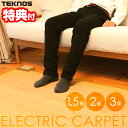 【11/25限定2人に1人最大100%P】【選ぶ景品】 テクノス 木目調 電気ホットカーペット 1.5畳 2畳 3畳 電子カーペット 電気マット 電気カーペット...
