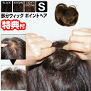 ポイントヘア Sサイズ ヘアウィッグ