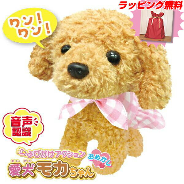 abe0380_gift.jpg abe0380_gift.jpg