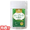 ユーグレナの恵み 90粒 約3ヶ月分 ユーグレナ ミドリムシ ガセリ菌 乳酸菌 善玉菌 日本製 健康食品 サプリメント ユーグレナのめぐみ