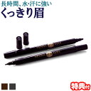 ヘナアイズ Henna Eyes アイブロウ アイブロー 長時間 水・汗に強い くっきり眉 眉毛 眉タトゥー 眉メイク まゆメイク 落ちにくい 消えない 落ちない 眉 まゆ 天然ヘナエキス 染める ペンタイプ 2WAY ヘナ 海 プール スポーツ プロイデア PRO