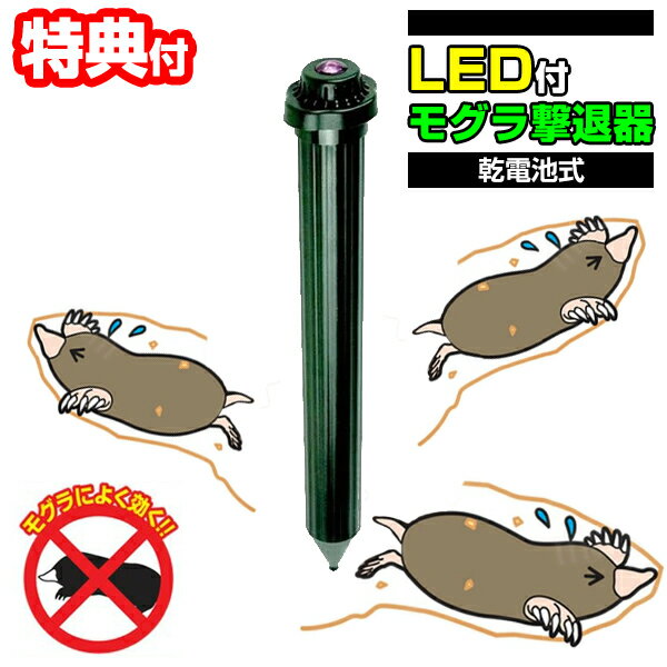 《400円クーポン配布中》LEDモグラ撃