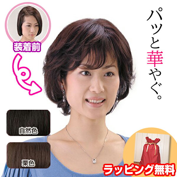 SO-110 ソフトネットヘアピース 人毛100％ 総手植え 自然色 栗色 部分ウィッグ 部分かつら つむじ 女性用かつら レディースカツラ 白髪かくし パーマOK ヘアカラーOK 手洗いOK 外出 デート 女性 レディース 自宅 かつら カツラ 会社