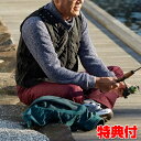【5/5限定2人に1人最大100%P】ベスト あったかベスト ヒーター内蔵ベスト 電熱ベスト ウォームフィットベスト ヒーターベスト 電熱ヒーター付きあったかベ...