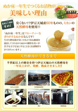 《2000円クーポン配布中》ぬか床一年生パック 6パック入り(3パック×2セット) 天然酵母付 手が汚れないジッパー袋付き 日本製 みかん酵母 ぬか床1年生パック 糠床一年生パック ヌカ床 ぬか漬け一年生 ぬか床 ぬか漬け マシン 自宅 ホーム 居酒屋 飲食店