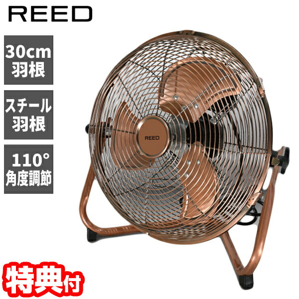 ReeD（リード）『30cmフロアファン（RD-AYF300CR）』