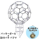 【6/25限定2人に1人最大100%P】模型 バッキーボール(組立式)+ 3Dカバラ パドマ レビューでヒーリングキーホルダー付 ユニカ 正規品 カタカムナ バッキーカバラ 生命の樹 丸山修寛 クスリエ 開運 ヒーリング 浄化