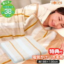 電気代38%OFF 広電 電気かけしき毛布 VWK552H-D 大判 電気かけ敷毛布 兼用 大きいサイズ 188×130cm 丸洗いOK コウデン 電気かけしき...