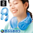 話題の品 冷え冷え手ぶら氷のう 2個組 アイシング 氷嚢 首にかけるだ...(4)