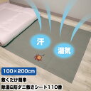 敷くだけ簡単!除湿&防ダニ敷きシート110番 グレー 除湿&防ダニ!敷き布団のトラブルに! 除湿マット ダニ予防シート 除湿シート 防ダニシート 繰返し使える ...
