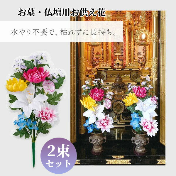 ��2/25����2�ͤ�1�ͺ���100%P�ۤ��衦ʩ���� �������� 2«�� 45cm������ �Ϥ�ʤ� ¤�� �ե��ǥ����ʡ�������� ���ꥢ��ե� ����...