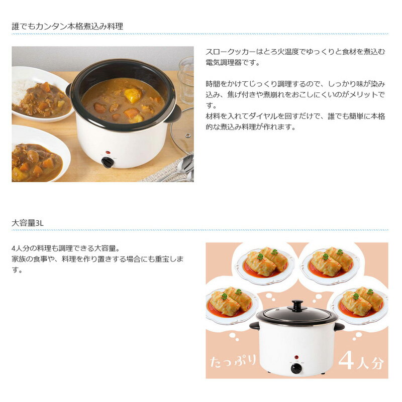 �����ַ��ʡ� �饤���� �ŵ��ѹ����� ���������å��� 3.0L LITHON æ�弰���� �ۡ������� �ŵ�Ĵ���� �ŵ��Ѥ����� �ѹ������� �ŵ�Ĵ���� �Ȥ���Ĵ�� �㲹Ĵ���� �쥷�ԥ֥å��դ� ������Ĵ���� ����Ĵ�� Ĵ����� ���å������ ���졼 �ѹ��� �顼��� ���ɤ� �����㤬