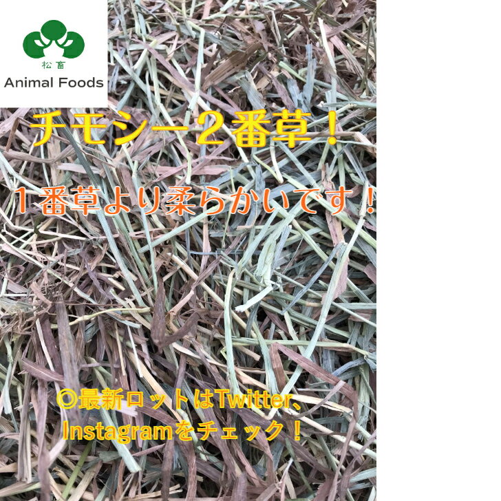【送料無料】★松畜牧草★チモシー2番草　800g(うさぎ、モルモット、デグーなどの小動物の牧草)チモシー 2