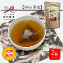 【ネット限定】しょうが和紅茶/2g×50 ティーバッグ 産地直送 全国送料無料 しょうが 日本茶 松田製茶 猿島茶 さしま茶 日本茶 寒い冬に 温まる ティーバ...