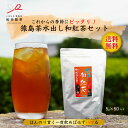【ネット限定】水出し和紅茶/5g×50 マラソン対象 お茶 らくらくティーバッグ 産地直送 送料無料 夏場でもさっぱり ほのかに甘い お湯出しも美味しい 松田製...