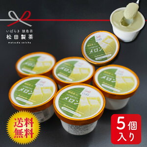 アイスクリーム 送料無料 タカミメロン 猿島茶入り 5個セットスイーツ デザート ご褒美 茨城 メロン アイスクリーム プレゼント お土産